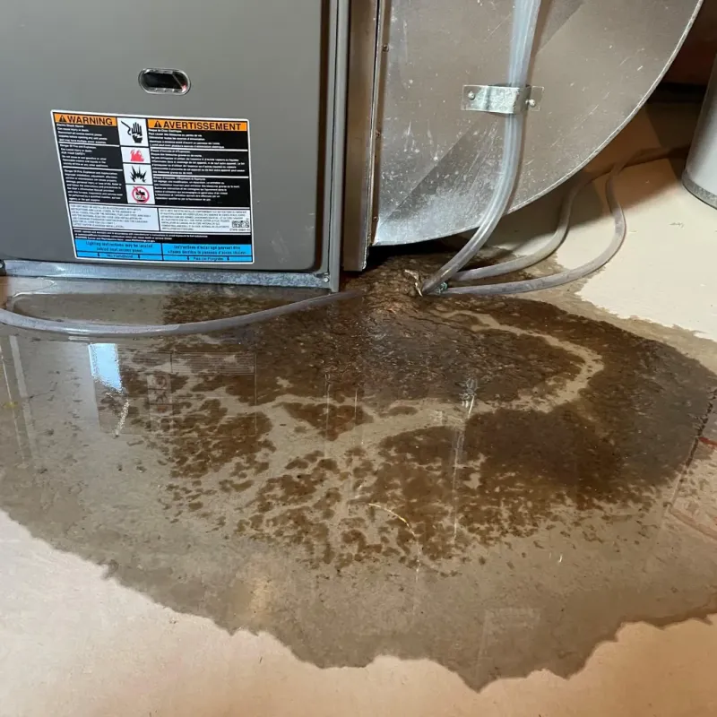 Appliance Leak Cleanup in Biloxi, MS